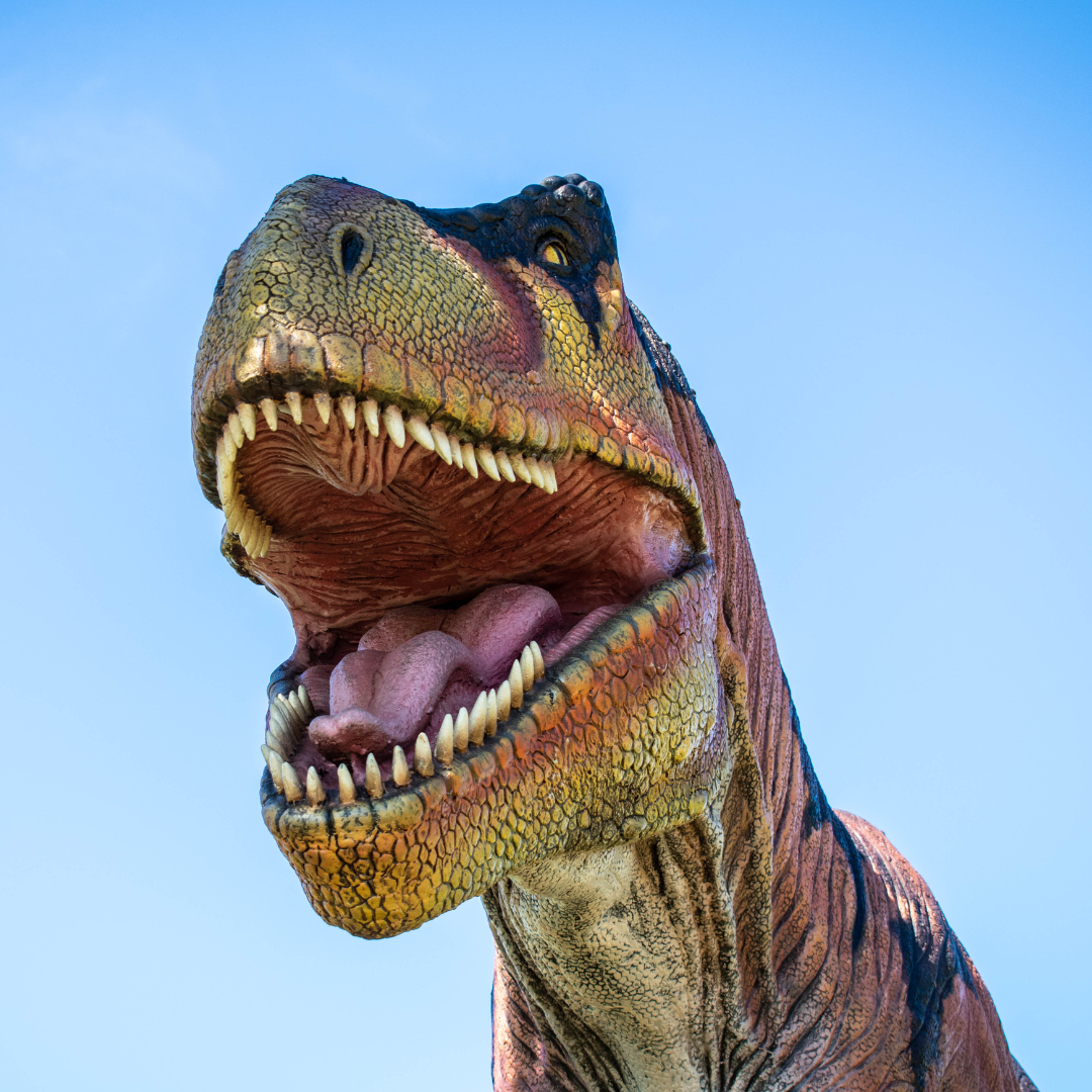 T-Rex head with a blue sky background